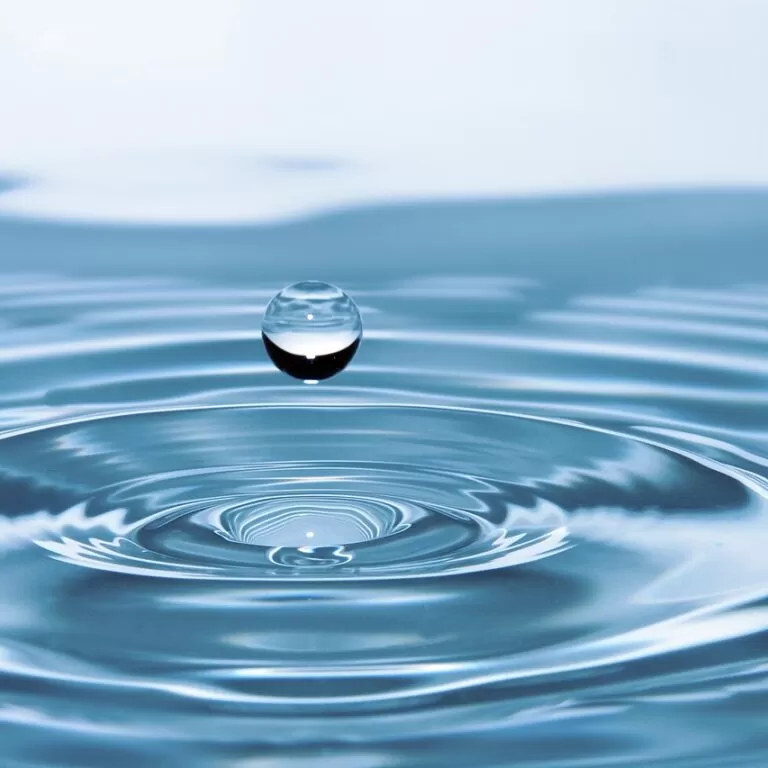 Bottled Water Industry